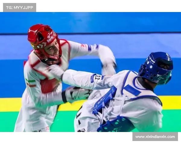 韩国阅兵式发生尴尬瞬间 跆拳道选手飞踢未成功击中木板